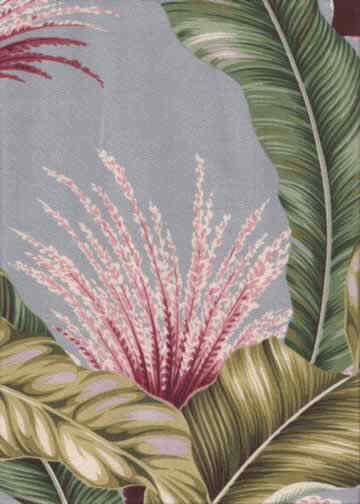 Click here for an overall view