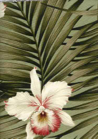 Click for an overall view