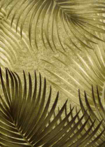 Click here for an overall view