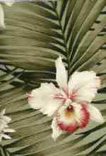 Fern Sage Orchids & Ferns on cotton bark crepe textured bark cloth.
