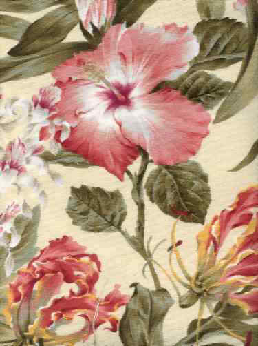 Click here for an overall view