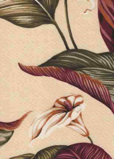 Click here for an overall view