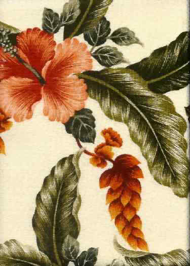 Click for an overall view