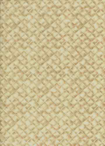 Click for an overall view