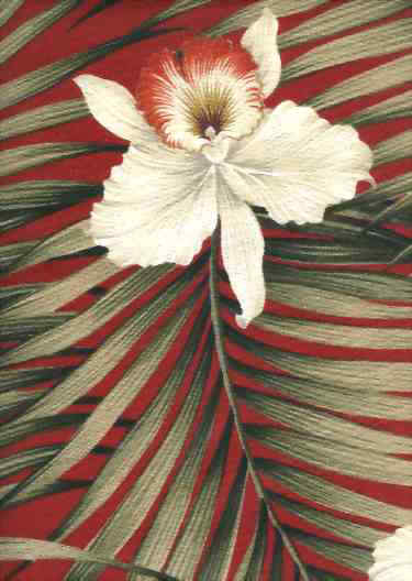 Click for an overall view