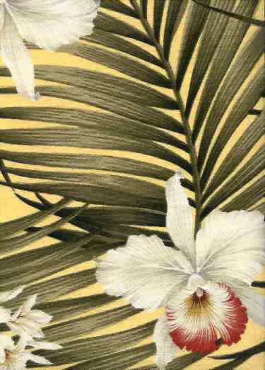 click for overall view